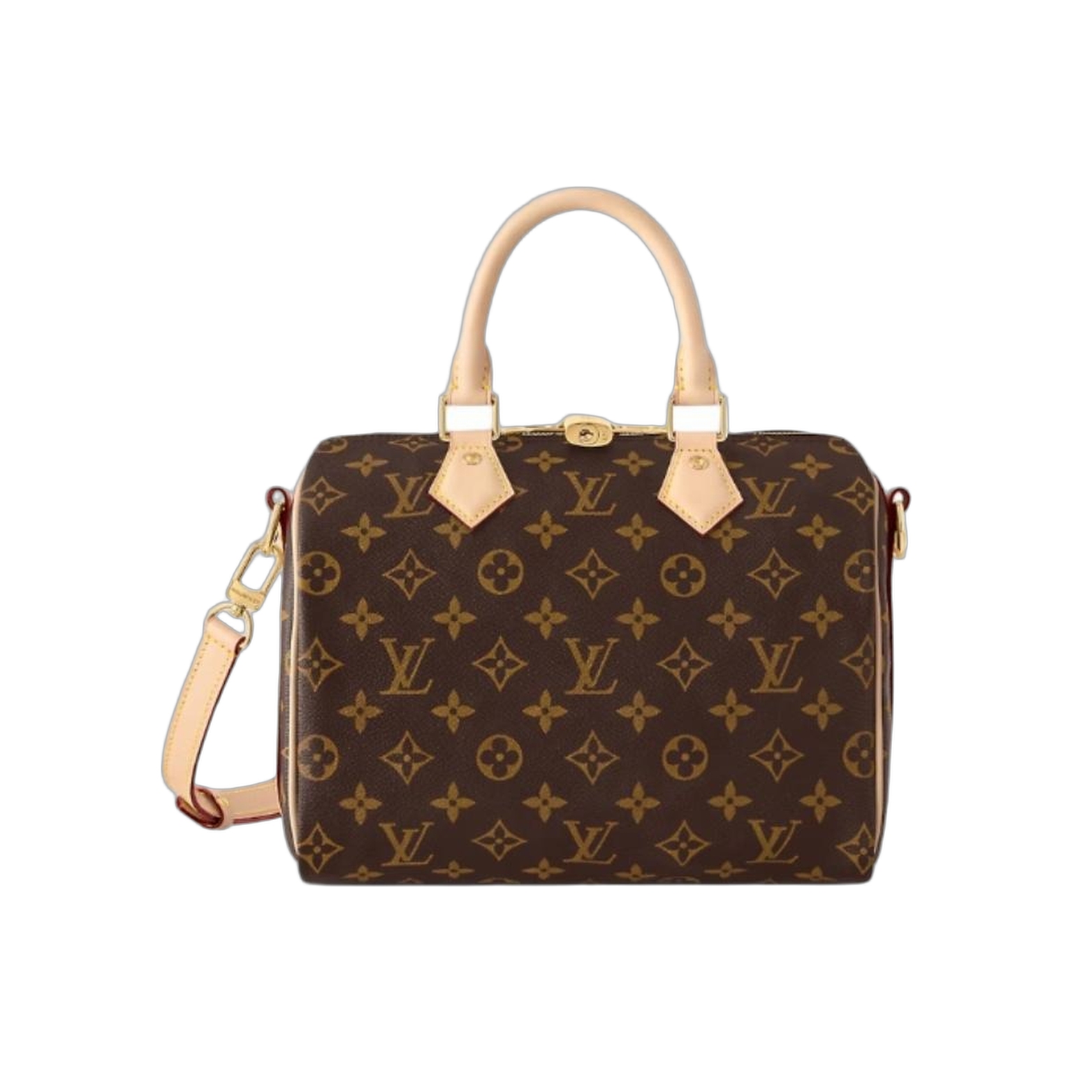 Сумка Louis Vuitton Speedy 25